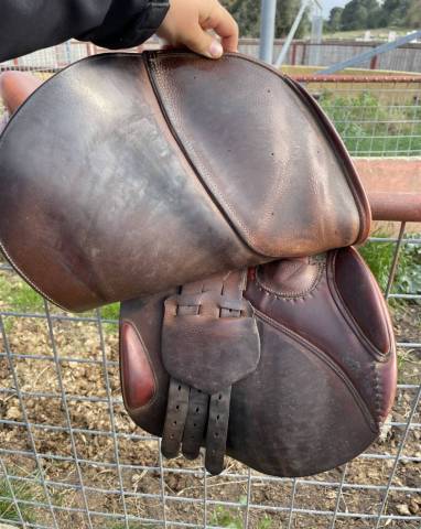 Sella da salto ostacoli Butet  17" - 2017