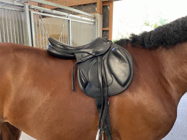 Sella da salto ostacoli Antarès  17.5" - 2021