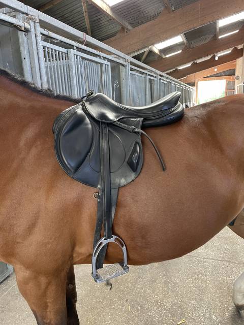 Sella da salto ostacoli Antarès  17.5" - 2021