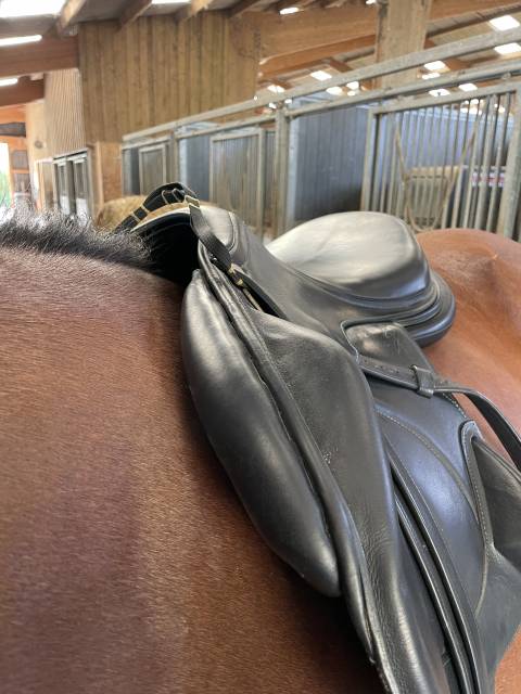 Sella da salto ostacoli Antarès  17.5" - 2021