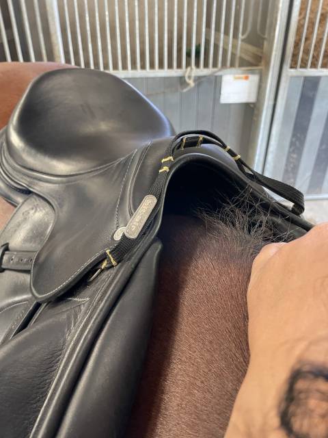 Sella da salto ostacoli Antarès  17.5" - 2021