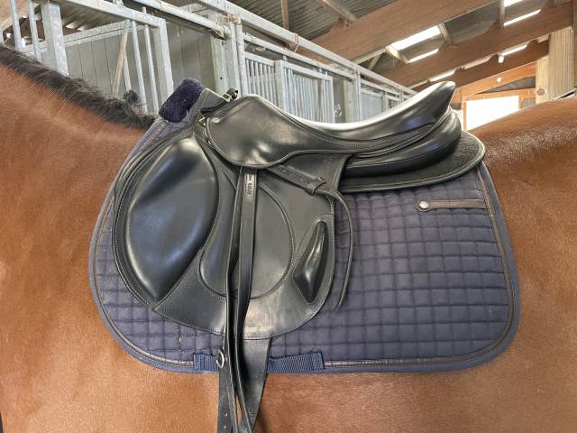 Sella da salto ostacoli Antarès  17.5" - 2021