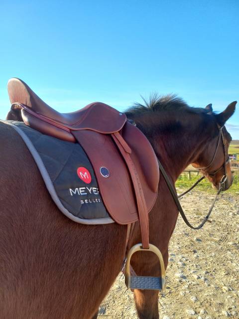 Sella da dressage Meyer Dressage  17.5" - 2024