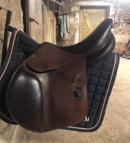 Sella mista Childeric  17.5" - 2017