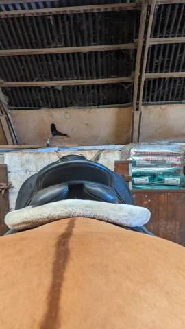 Sella mista Wintec  17.5" - 2010