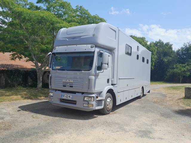 Camion per Cavalli Man  2017 Occasione