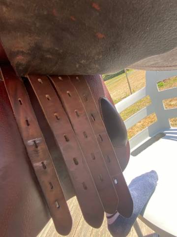 Sella da salto ostacoli Amerigo Salto  17" - 2020