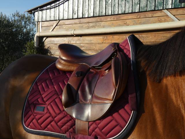 Sella da cross Henri de Rivel  16.5" - 2004