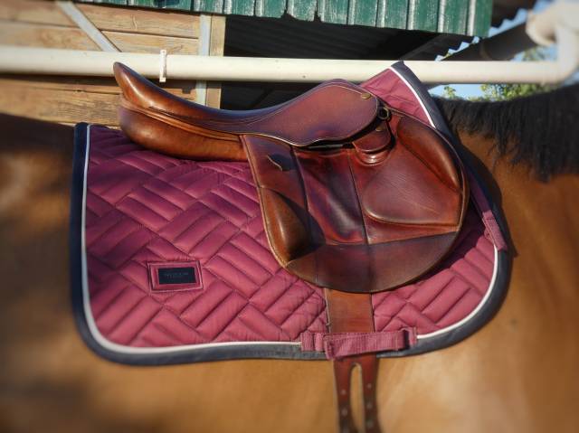 Sella da cross Henri de Rivel  16.5" - 2004