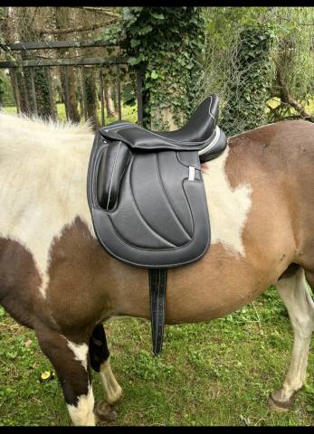 Sella da dressage   16.5" - 2022