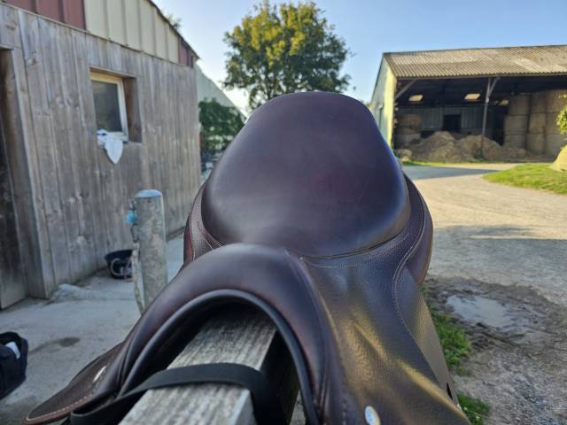 Sella mista Meyer Marianne 17.5" - 2022