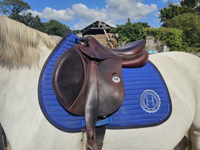 Sella mista Meyer Marianne 17.5" - 2022