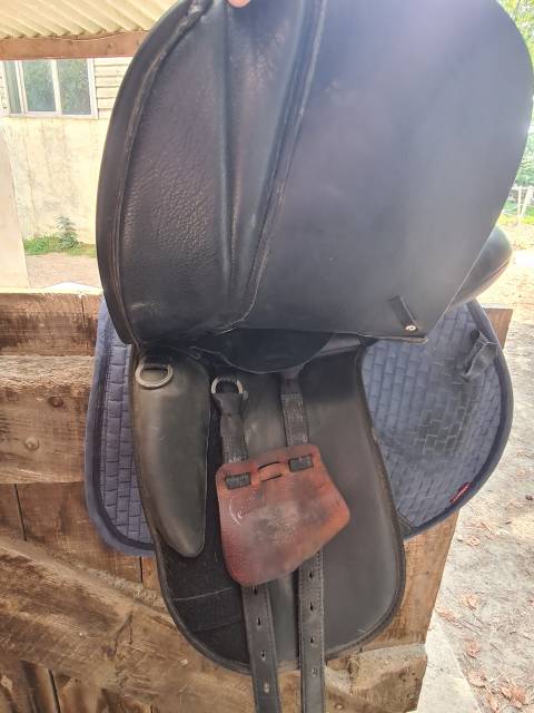 Sella da dressage Thorowgood   17.5" - 2023