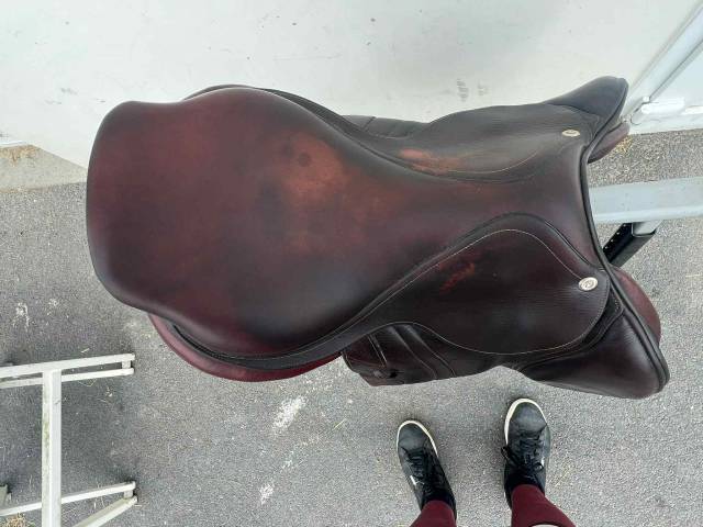 Sella da salto ostacoli CWD  18" - 2017