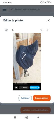 Sella da dressage Antarès  17" - 2019