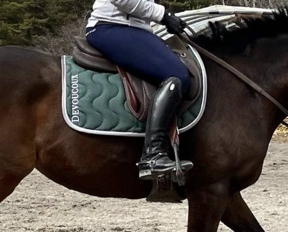 Sella da salto ostacoli Devoucoux  17.5" - 2021