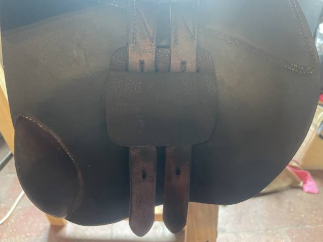 Sella Junior / Sella Pony   15.5" - 2023