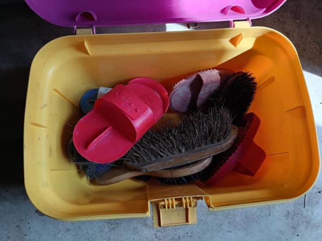  - Altra Marca - Occasione