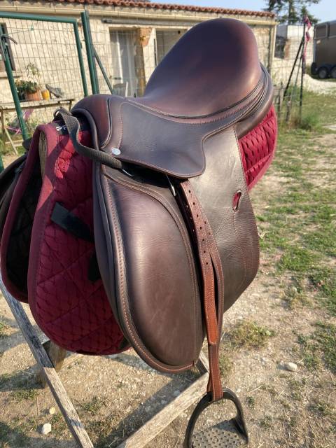 Sella mista Antarès Active  17" - 2023