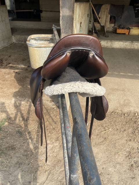 Sella da salto ostacoli Antarès  18" - 2024