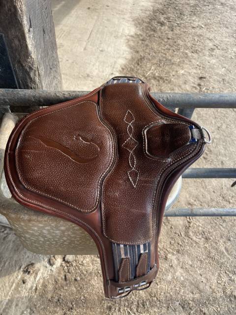 Sella da salto ostacoli Antarès  18" - 2024