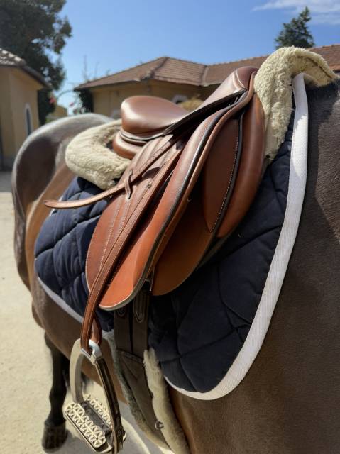 Sella Butet colore Gold Nuova 