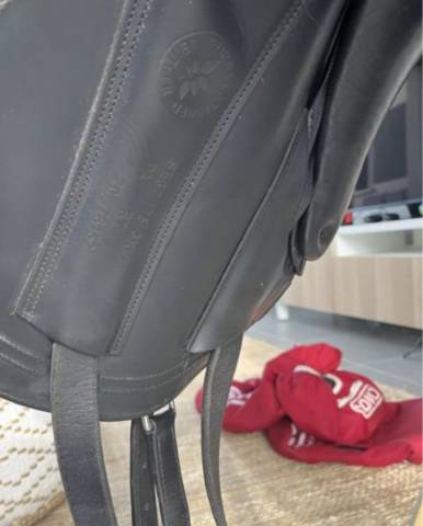 Sella da dressage CWD  17.5" - 2020