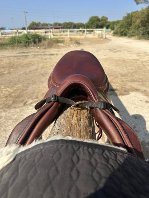 Sella mista Antarès Obstacle active  17" - 2024