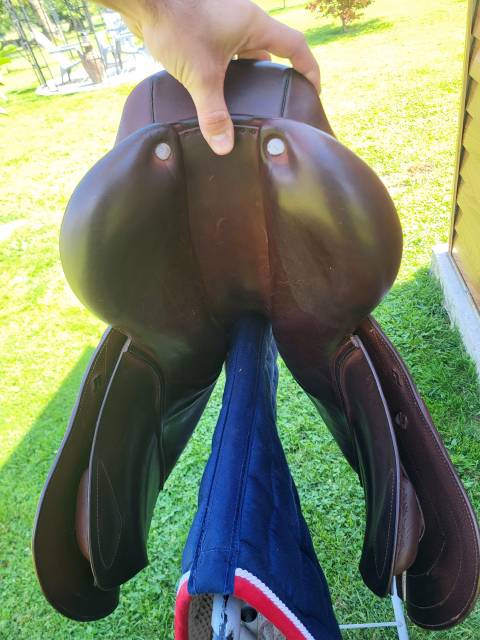 Sella mista CWD  17.5" - 2017