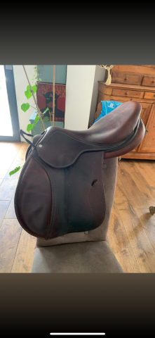 Sella da salto ostacoli Antar&egrave;s  17.5" - 2013