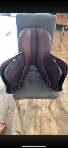 Sella da salto ostacoli Antar&egrave;s  17.5" - 2013