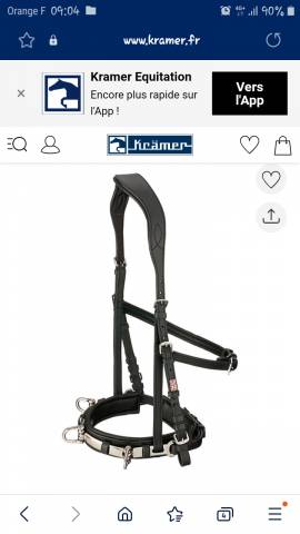  Claridge House Occasione