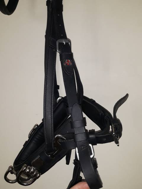  Claridge House Occasione