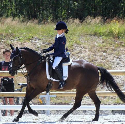 Sella da dressage Prestige Italia  17" - 2006