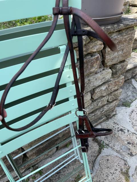 Schutz Brothers Occasione