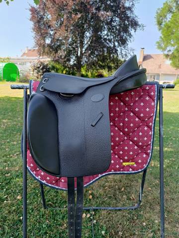 Bareback  Guy Cantin  15.5" - 2020