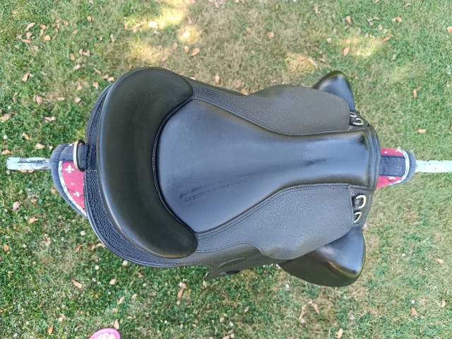 Bareback  Guy Cantin  15.5" - 2020