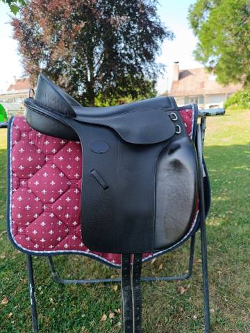 Bareback  Guy Cantin  15.5" - 2020