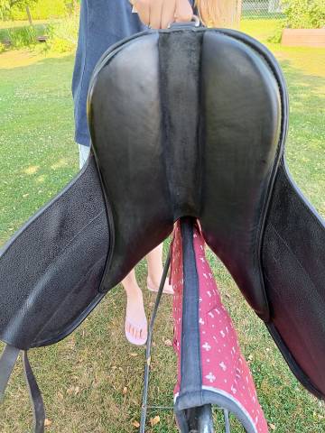 Bareback  Guy Cantin  15.5" - 2020