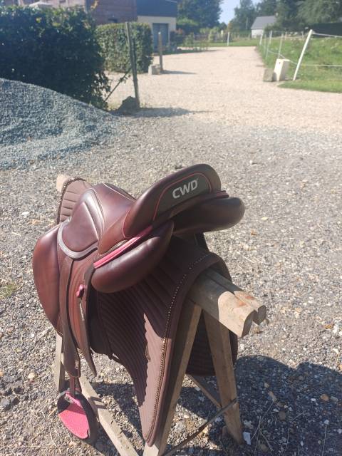 Sella da salto ostacoli CWD  17.5" - 2020