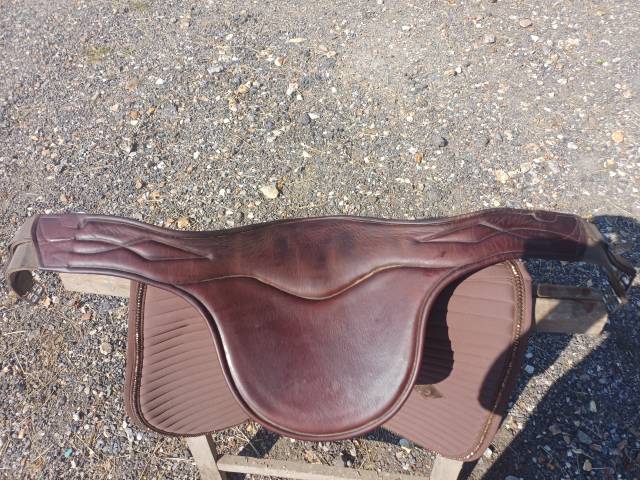 Sella da salto ostacoli CWD  17.5" - 2020