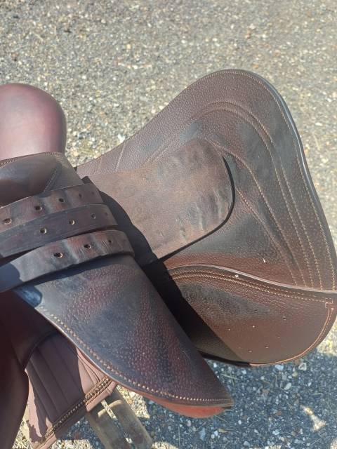 Sella da salto ostacoli CWD  17.5" - 2020