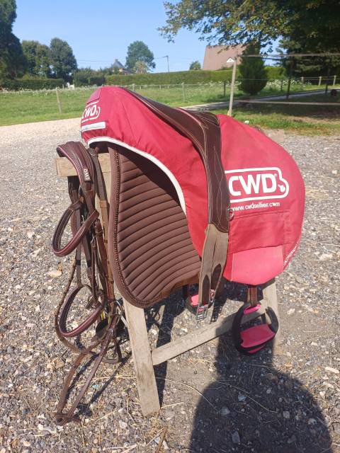 Sella da salto ostacoli CWD  17.5" - 2020