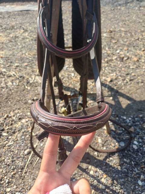 Sella da salto ostacoli CWD  17.5" - 2020