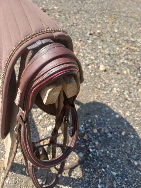 Sella da salto ostacoli CWD  17.5" - 2020