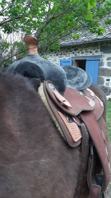 Sella western   16.5" - 2010