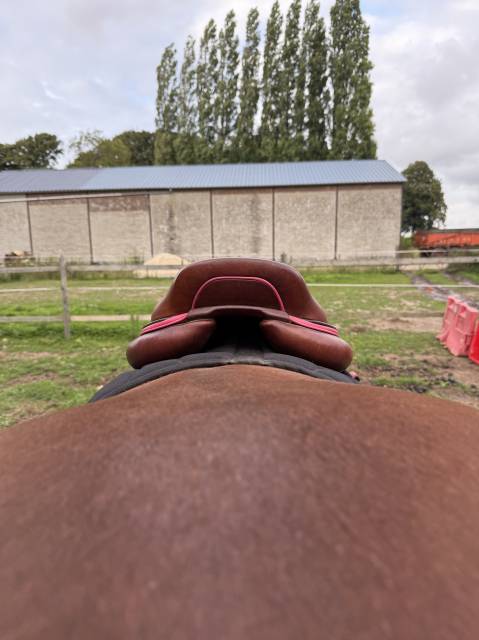 Sella da salto ostacoli CWD  18" - 2021