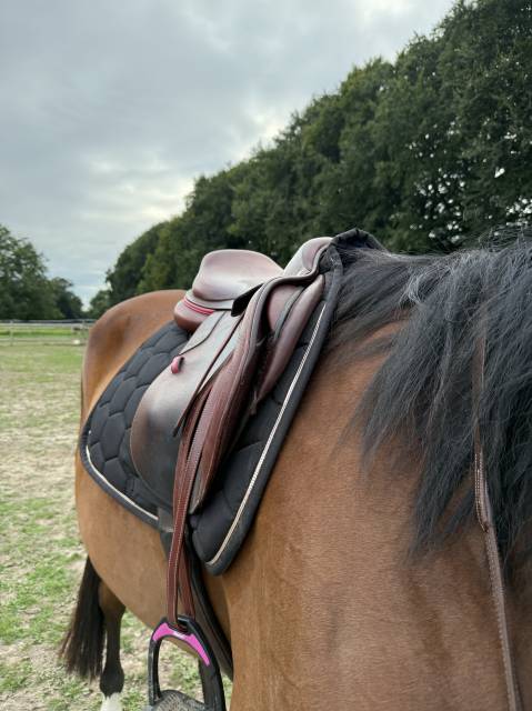 Sella da salto ostacoli CWD  18" - 2021