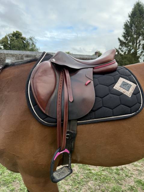 Sella da salto ostacoli CWD  18" - 2021