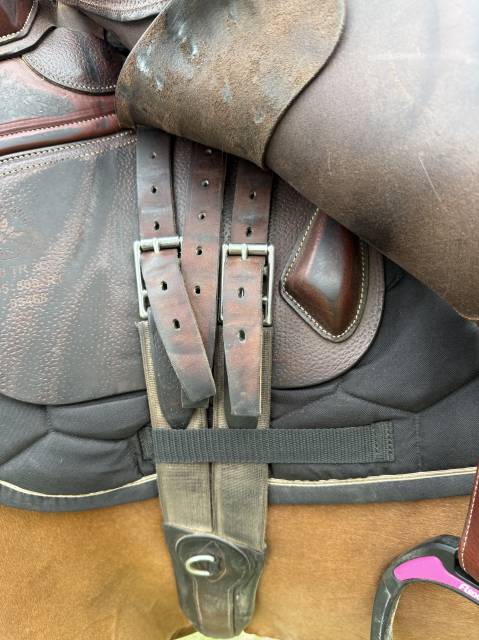 Sella da salto ostacoli CWD  18" - 2021